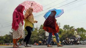 cg weather forecast today