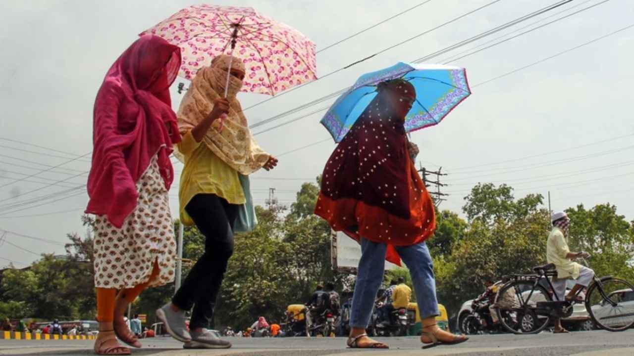 cg weather forecast today