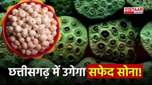 White Gold in Chhattisgarh