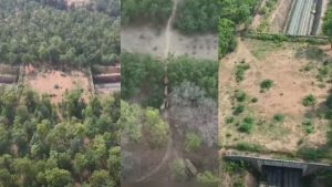 india's first wildlife rail corridor in Chhattisgarh dharamjaigarh