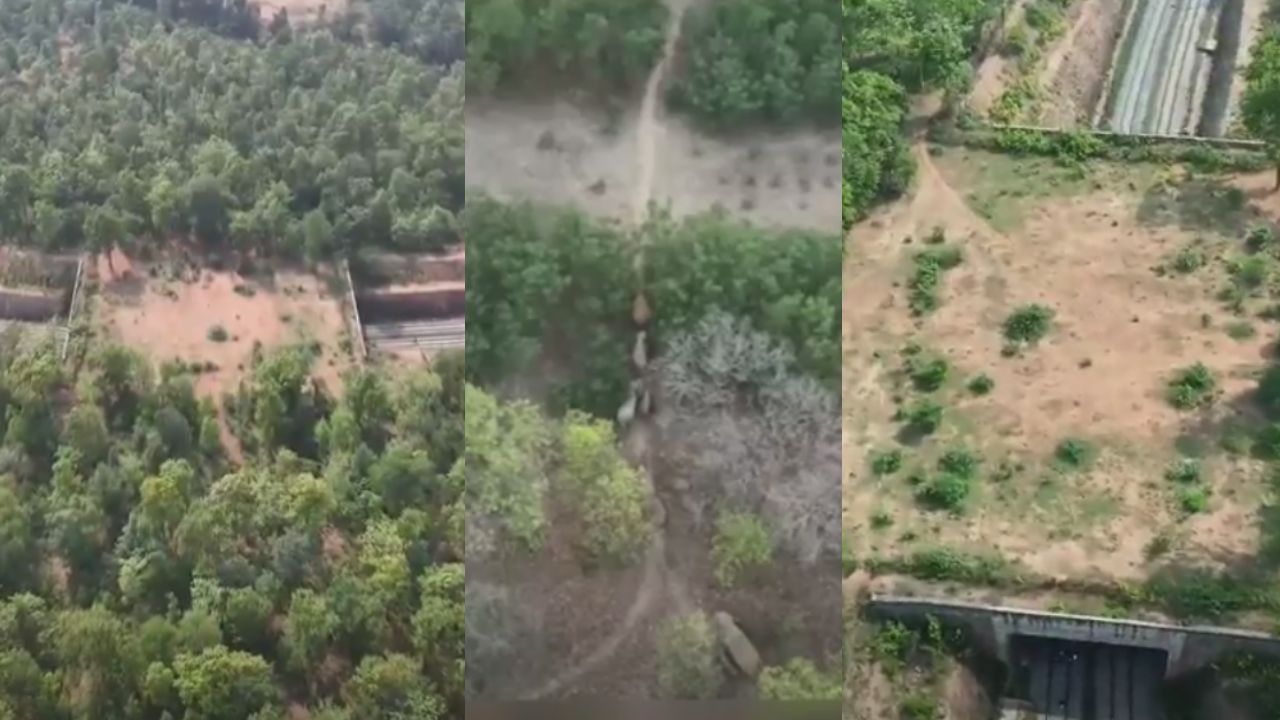 india's first wildlife rail corridor in Chhattisgarh dharamjaigarh