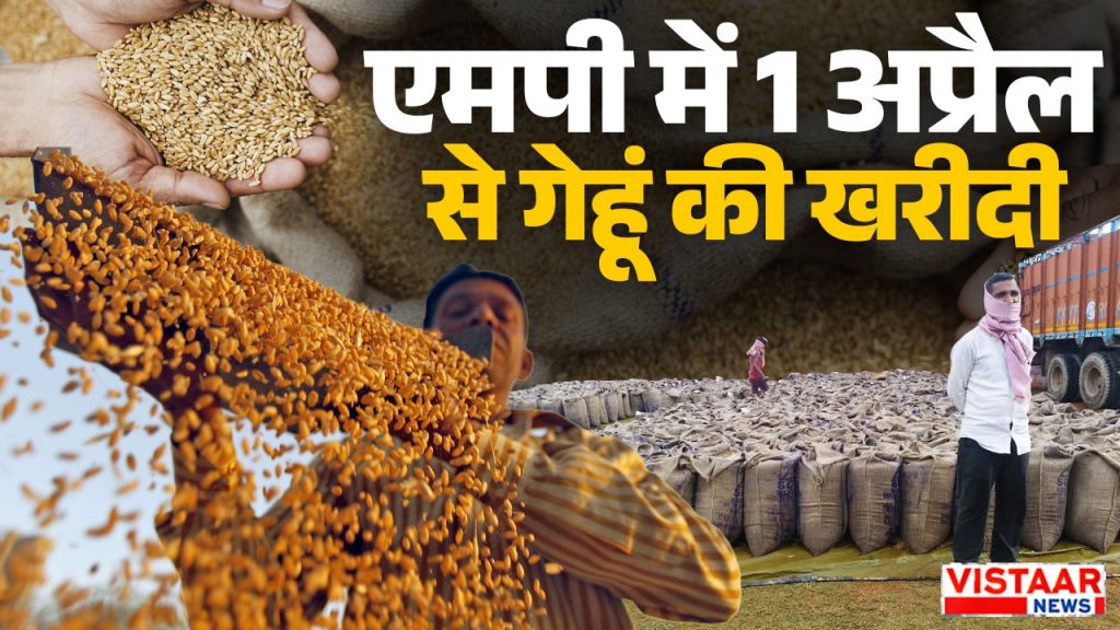 madhya pradesh wheat procurement