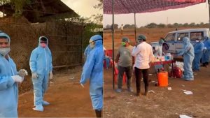 African Swine Fever Outbreak