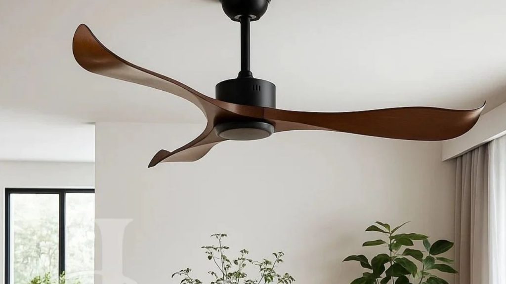Ceiling Fans