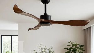 Ceiling Fans