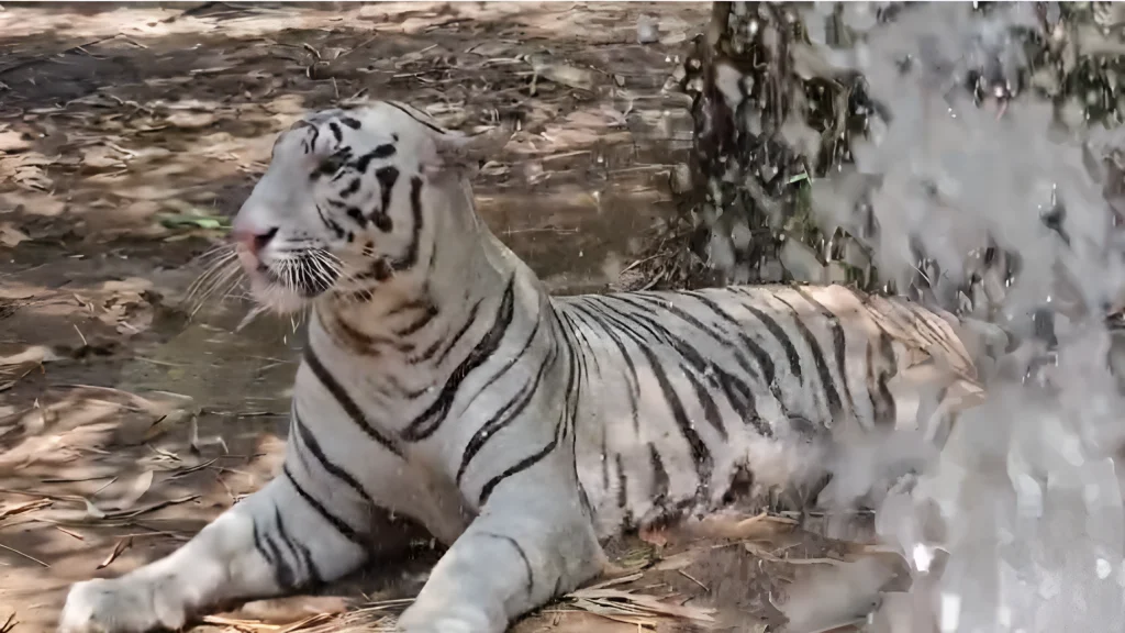 Maitri Bagh Zoo