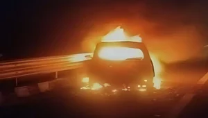 Delhi Mumbai Expressway Accident