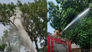 Thousands of litres of water were poured to bring down the officer's pet parrot.