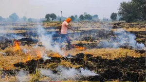 MP Ranks Number One in Stubble Burning