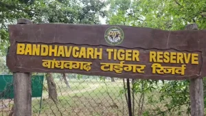 Bandhavgarh Tiger Reserve