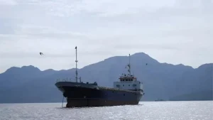 Ship passing through the Strait of Hormuz (File Photo)