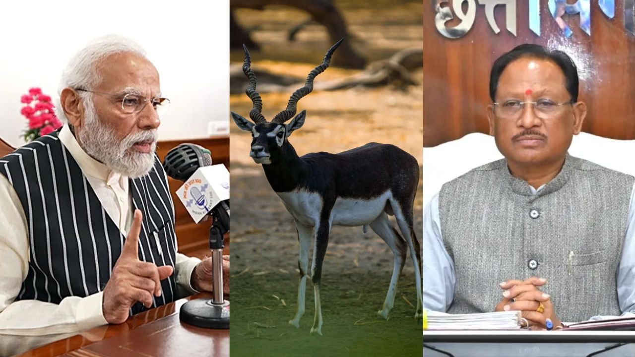mann ki baat pm narendra modi chhattisgarh black buck cm vishnudeo sai reaction