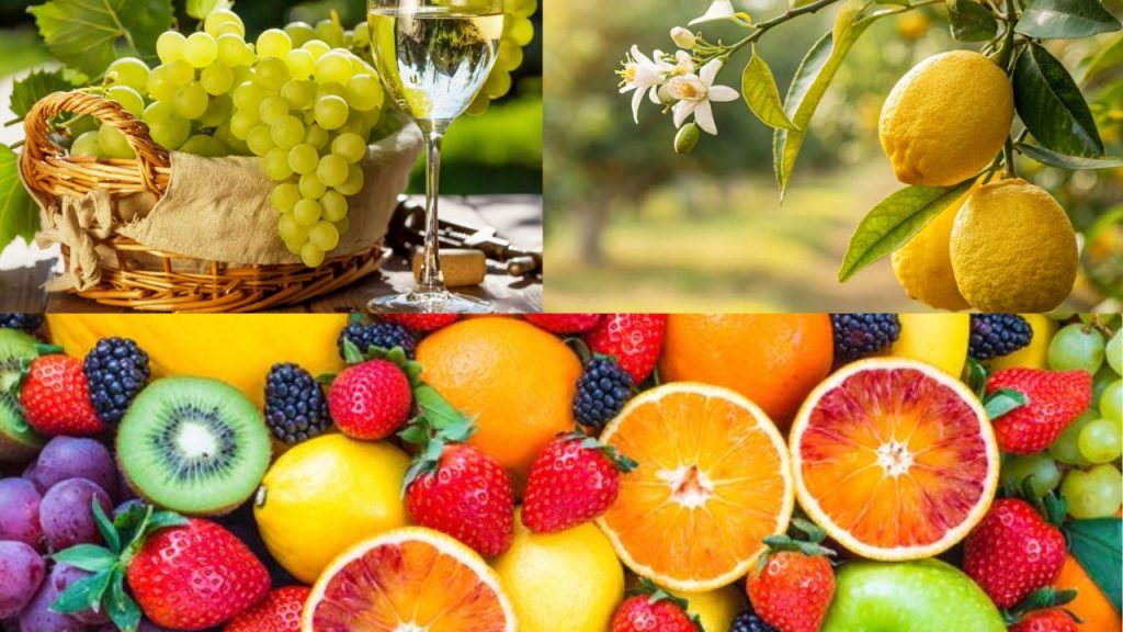 fruits