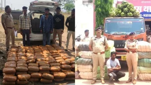 Bilaspur mahasamund ganja smuggler arrested worth rupees 6.5 crore