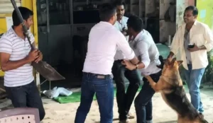 JE Beaten During Electricity Checking