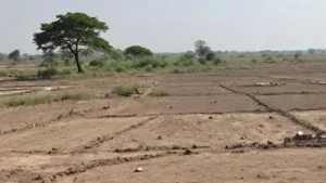 जमीन के साथ अध‍िकार‍ियों ने कर द‍िया खेला