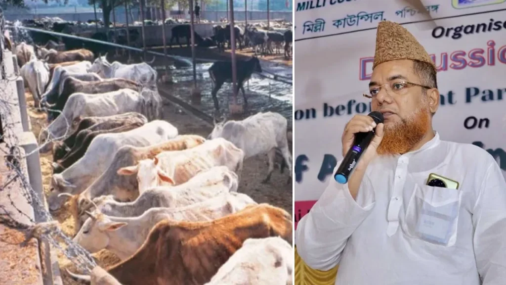 मौलाना मोहम्मद शफीक काजमी की समाज से अपील