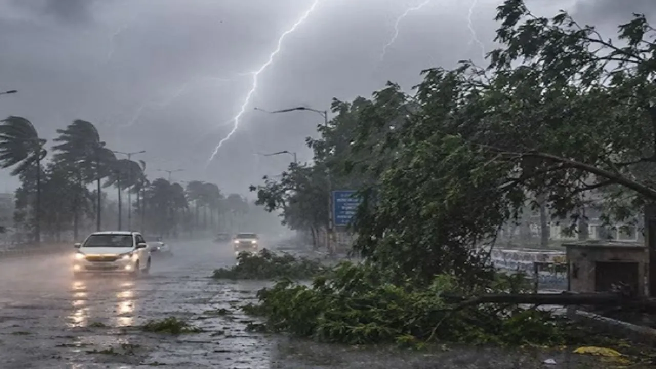 MP में गर्मी से मिली राहत, 13 जिलों में आंधी-बारिश का अलर्ट; 10 मई से गर्मी  बढ़ने के आसार