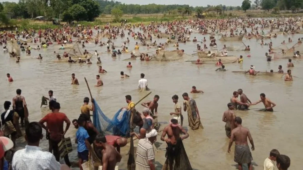 Fish Festival