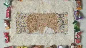 Narmadapuram farmer created portrait of Italian PM Giorgia Meloni using grains