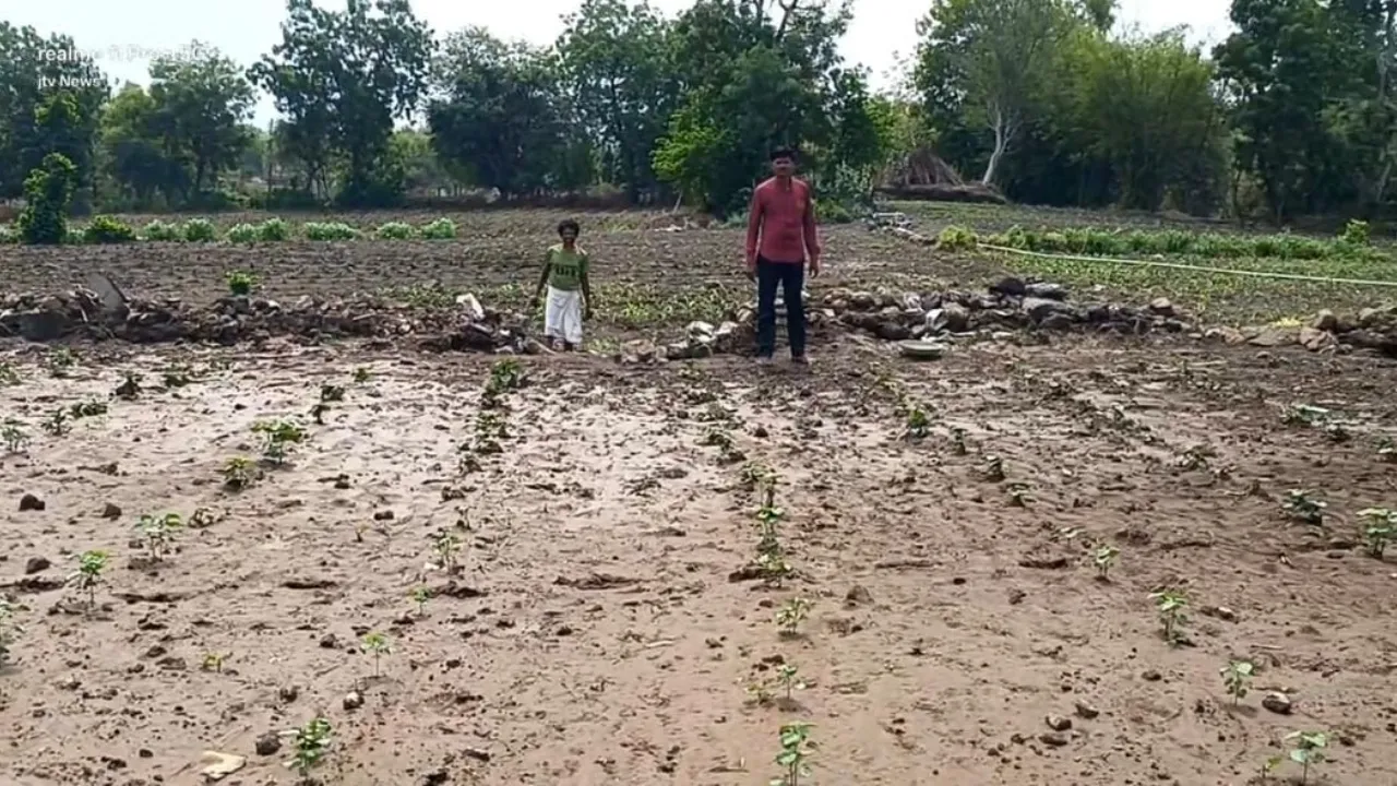 Madhya Pradesh Farmers
