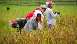 El Nino Monsoon Rain Alert India