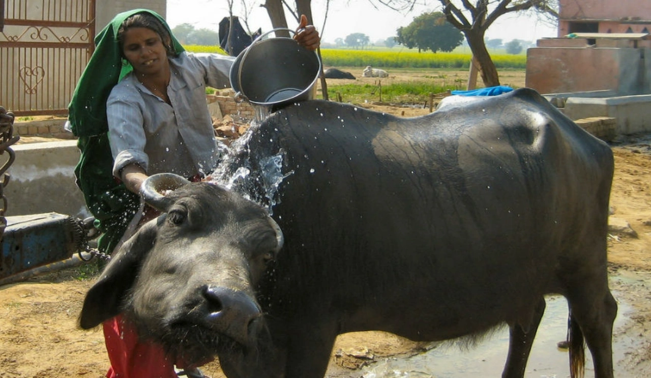 MP Water Supply Rules