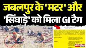 Vistaar News