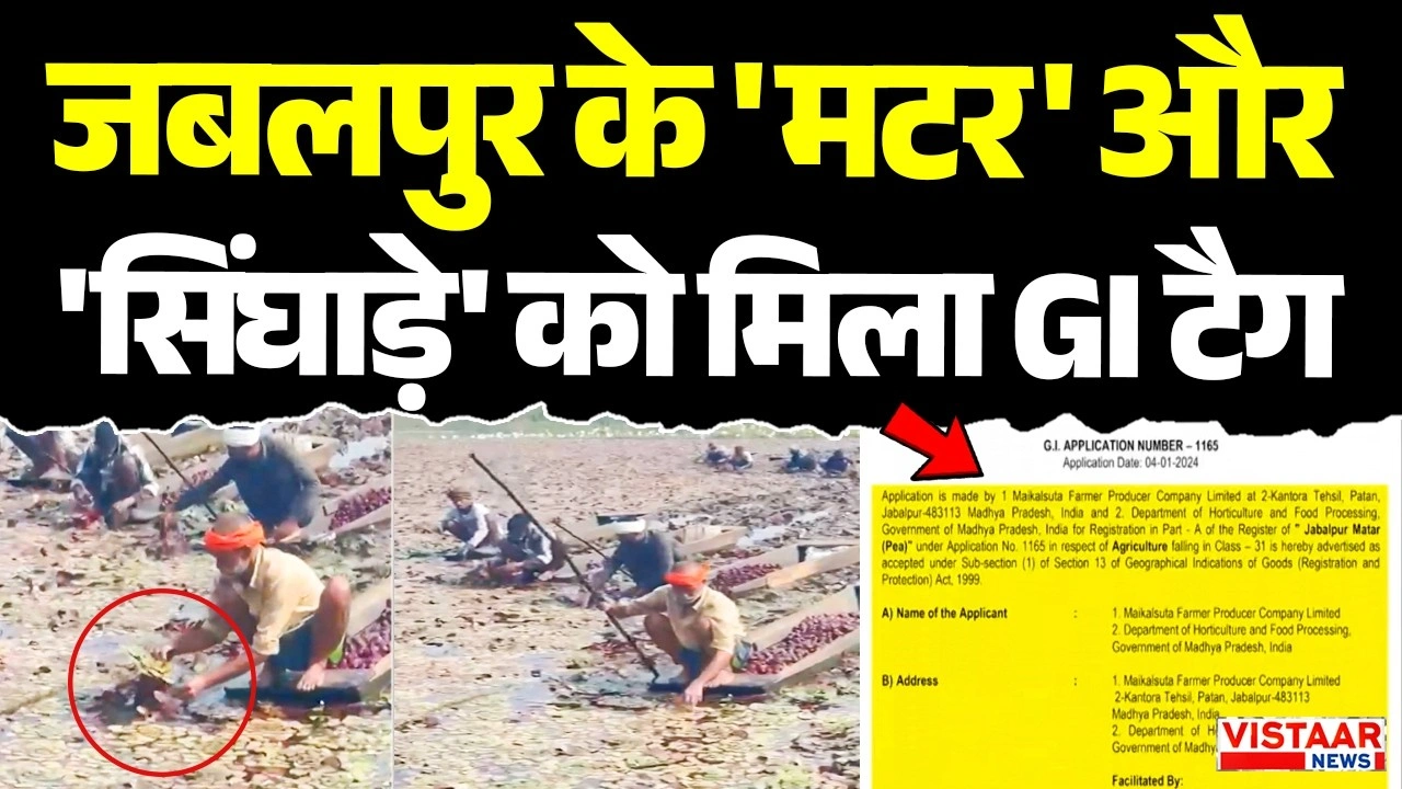 Vistaar News