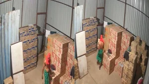 The accused escaped after stealing from an English liquor shop in Barwani.