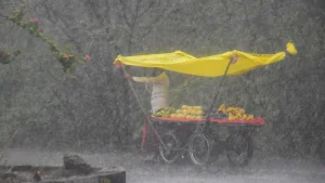 cg monsoon rainfall 17 districts orange alert including Bilaspur imd