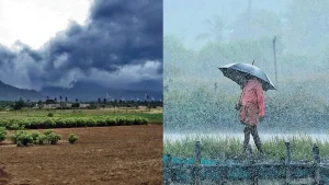Monsoon likely to arrive in madhya pradesh by June 25