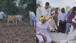 pcc chief jitu patwari betul visit ploughed field