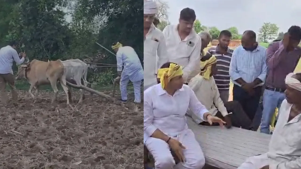 pcc chief jitu patwari betul visit ploughed field