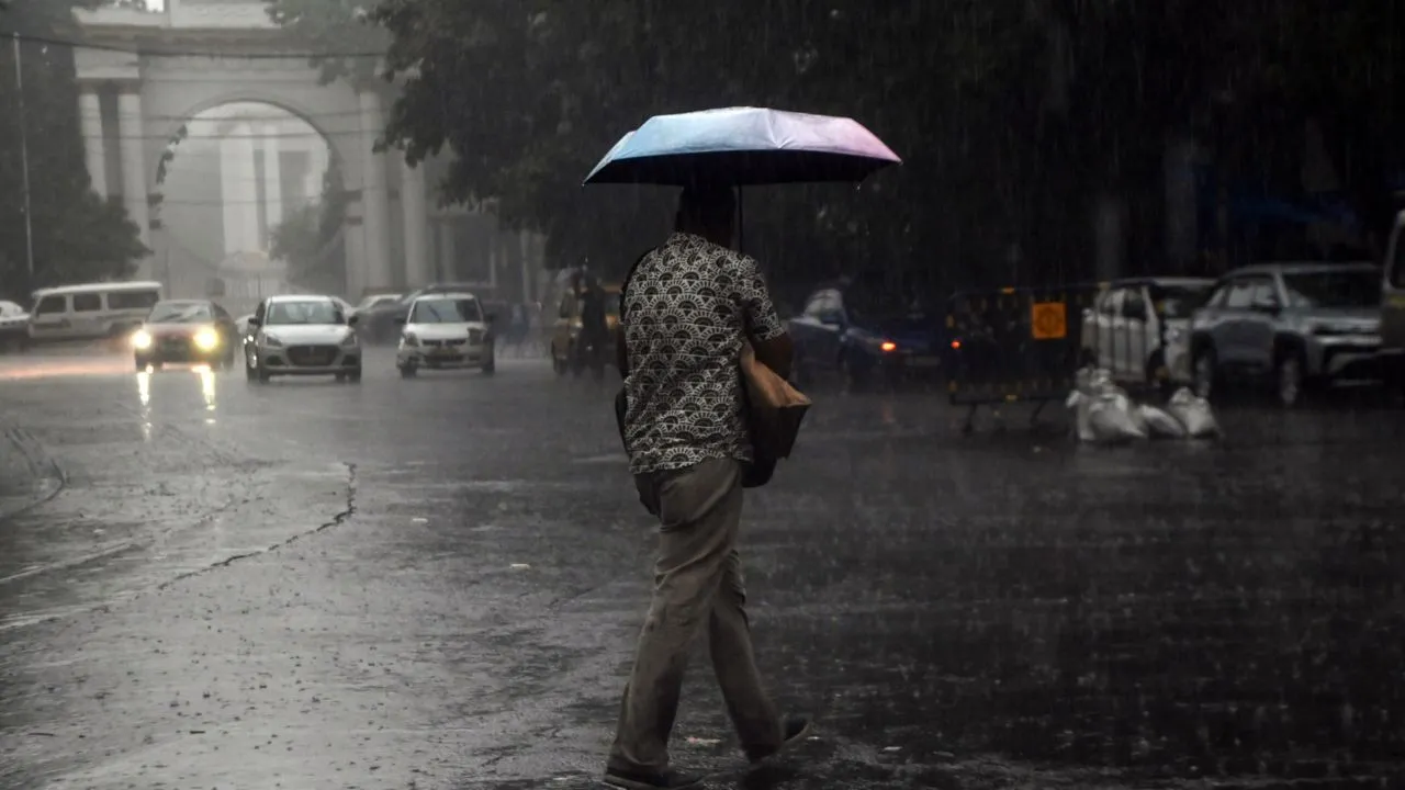 mp mosoon 40 district rainfall alert
