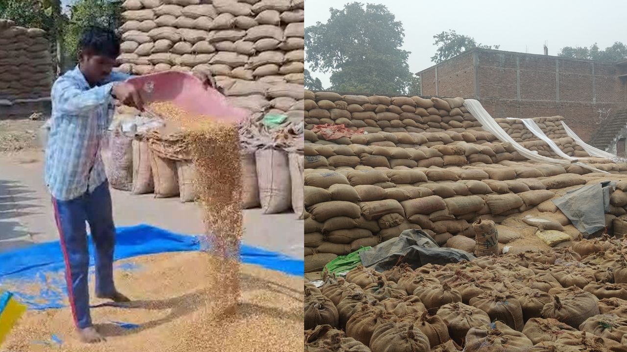 Raipur paddy shortage in procurement centre legal action