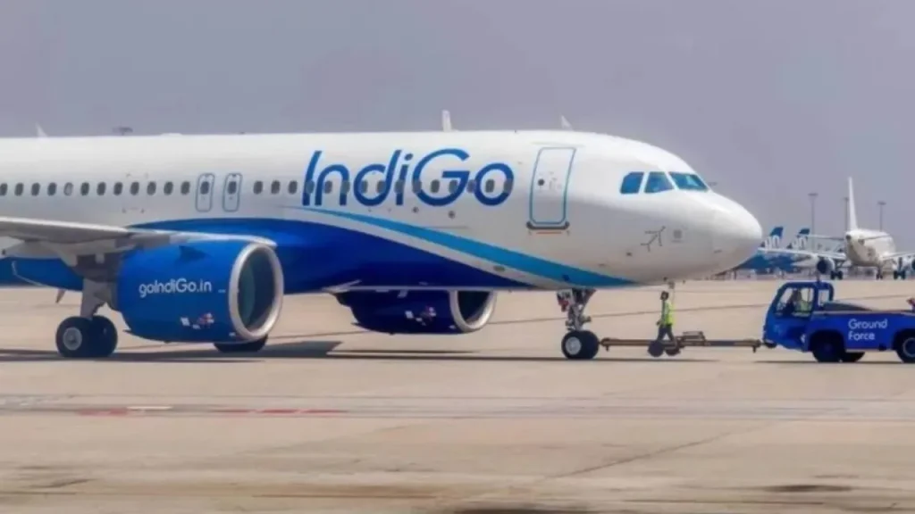 IndiGo flight (file photo)