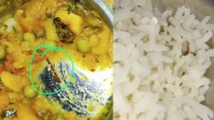 Insects found in hostel food