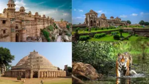 MP Tourism Content Creator Program