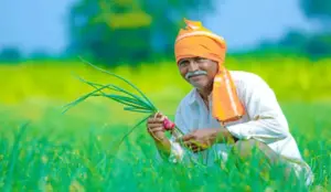 Maharashtra Shetkari Karja Mukti Scheme