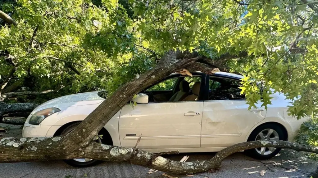 Monsoon Car Insurance