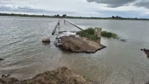 Old Rajghat bridge submerged