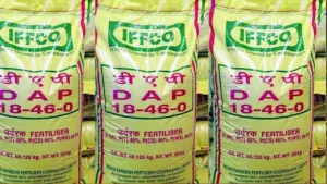 Surguja Fertilizer Black Marketing