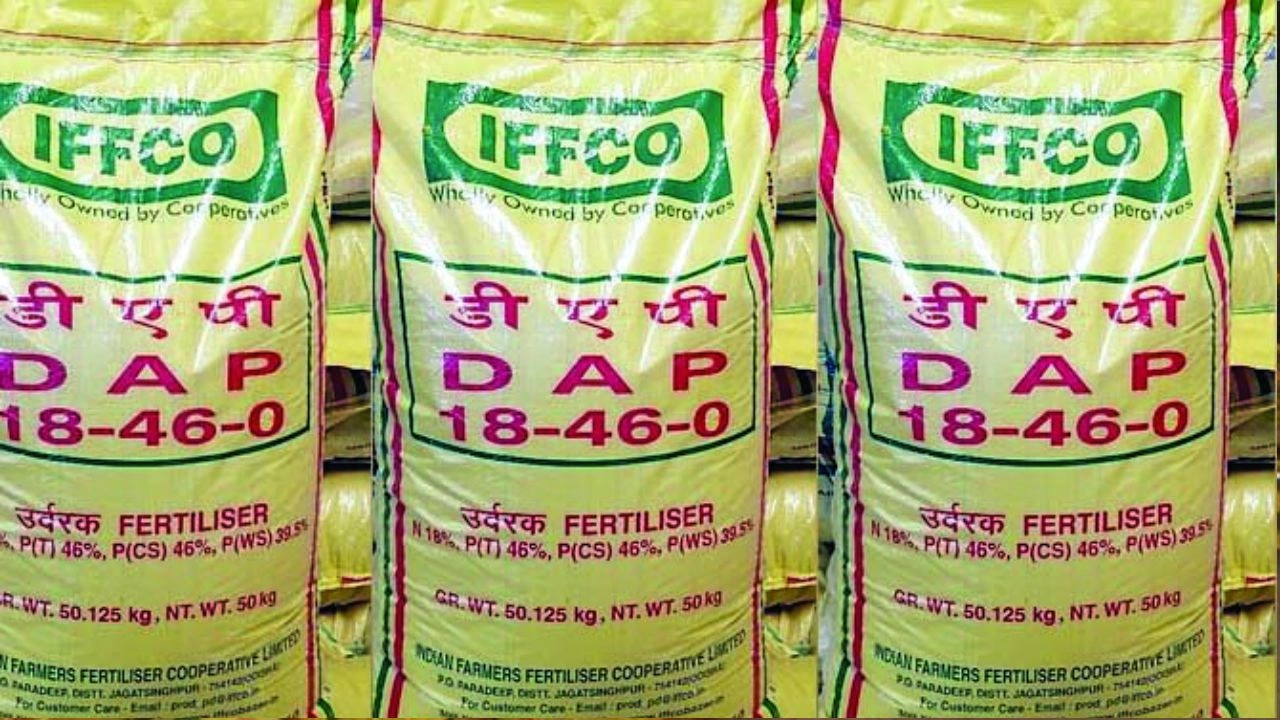 Surguja Fertilizer Black Marketing