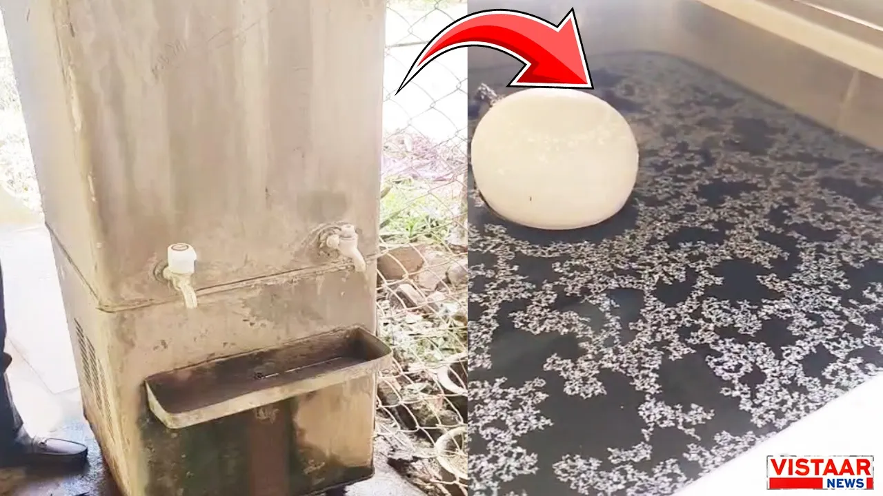 Insects were found in the water cooler at the Government Girls College in Sidhi.