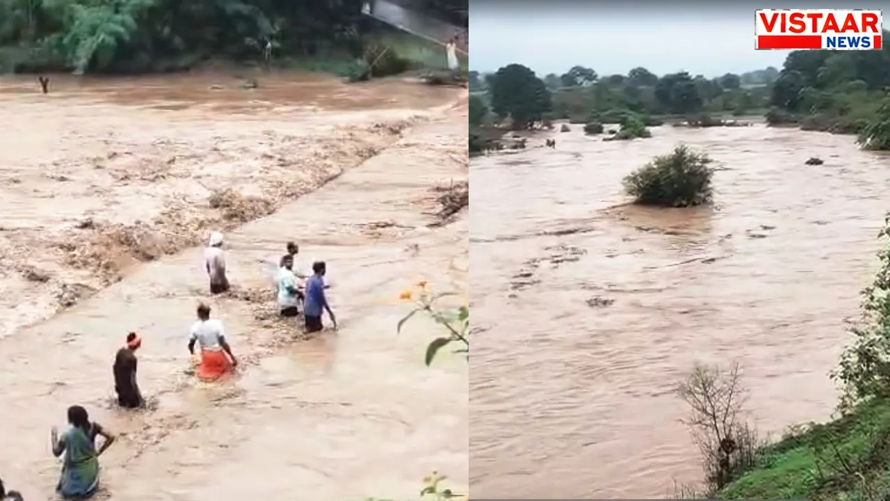 After the bridge in Dindori sank, people are risking their lives for wood.