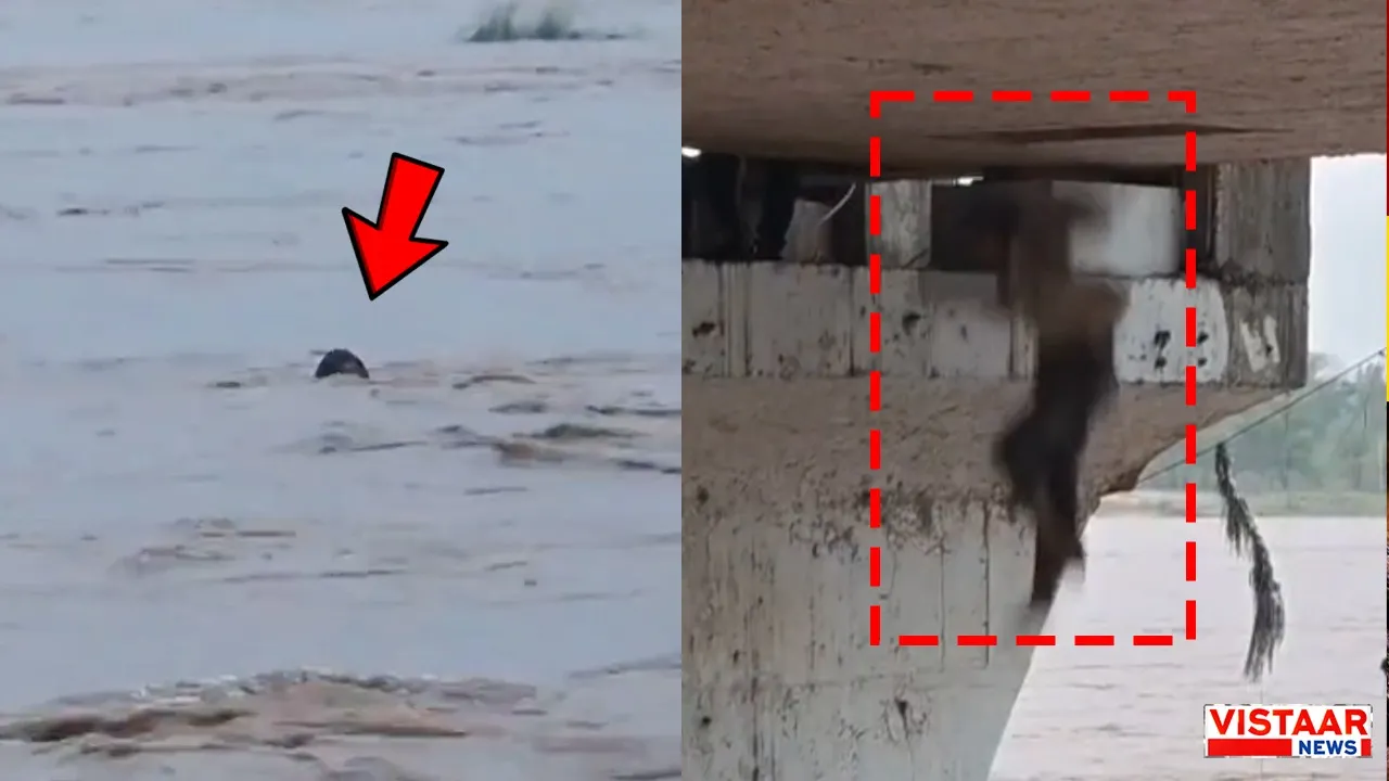 While carrying out rescue operations in Mandla, the youth jumped into the Narmada river.