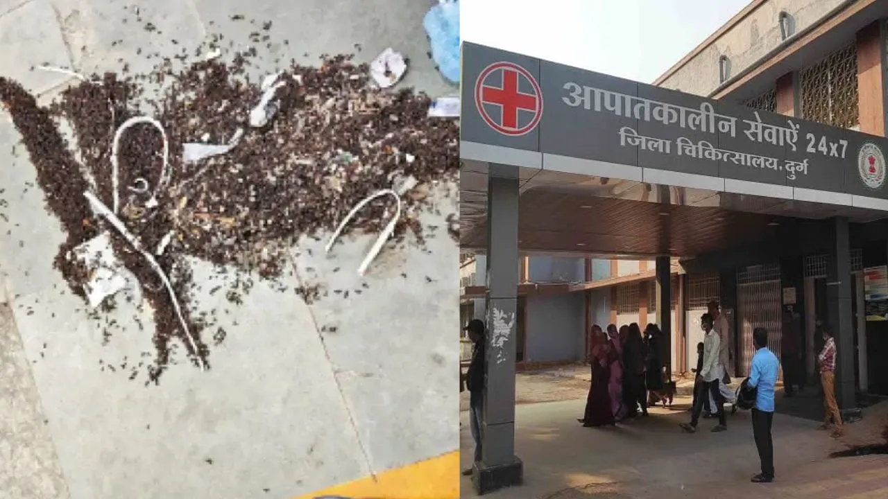 durg district hospital operation theatre shut down due to ants