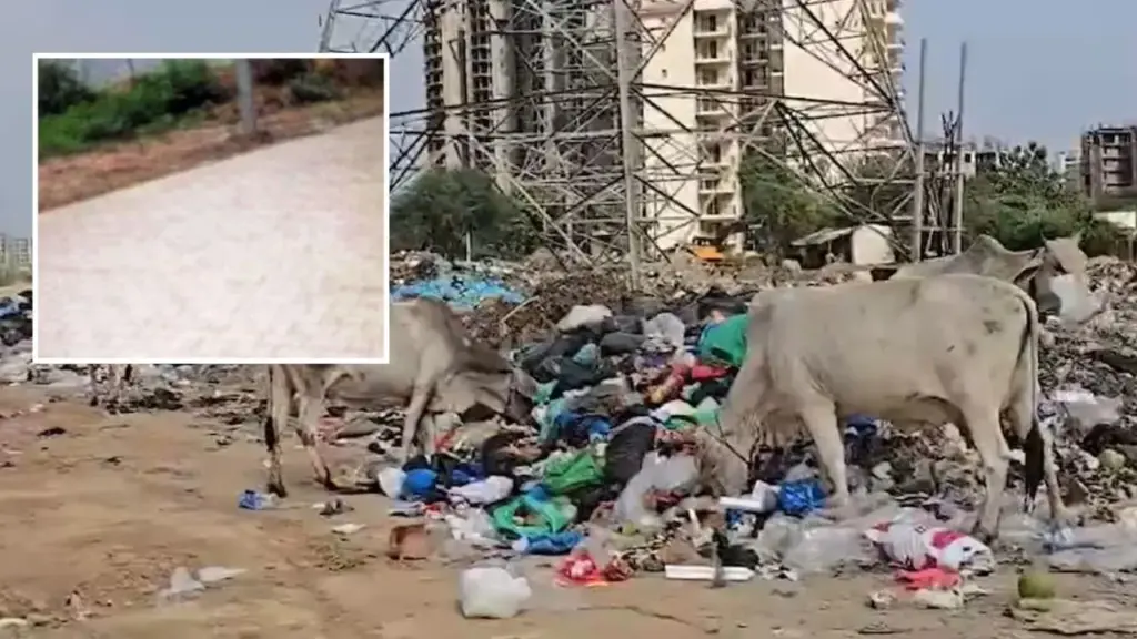 AI से कर दिया शिकायत का निपटारा