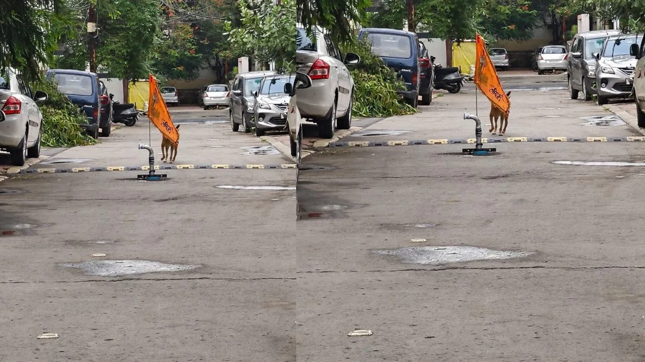 indore borewell in middle of road